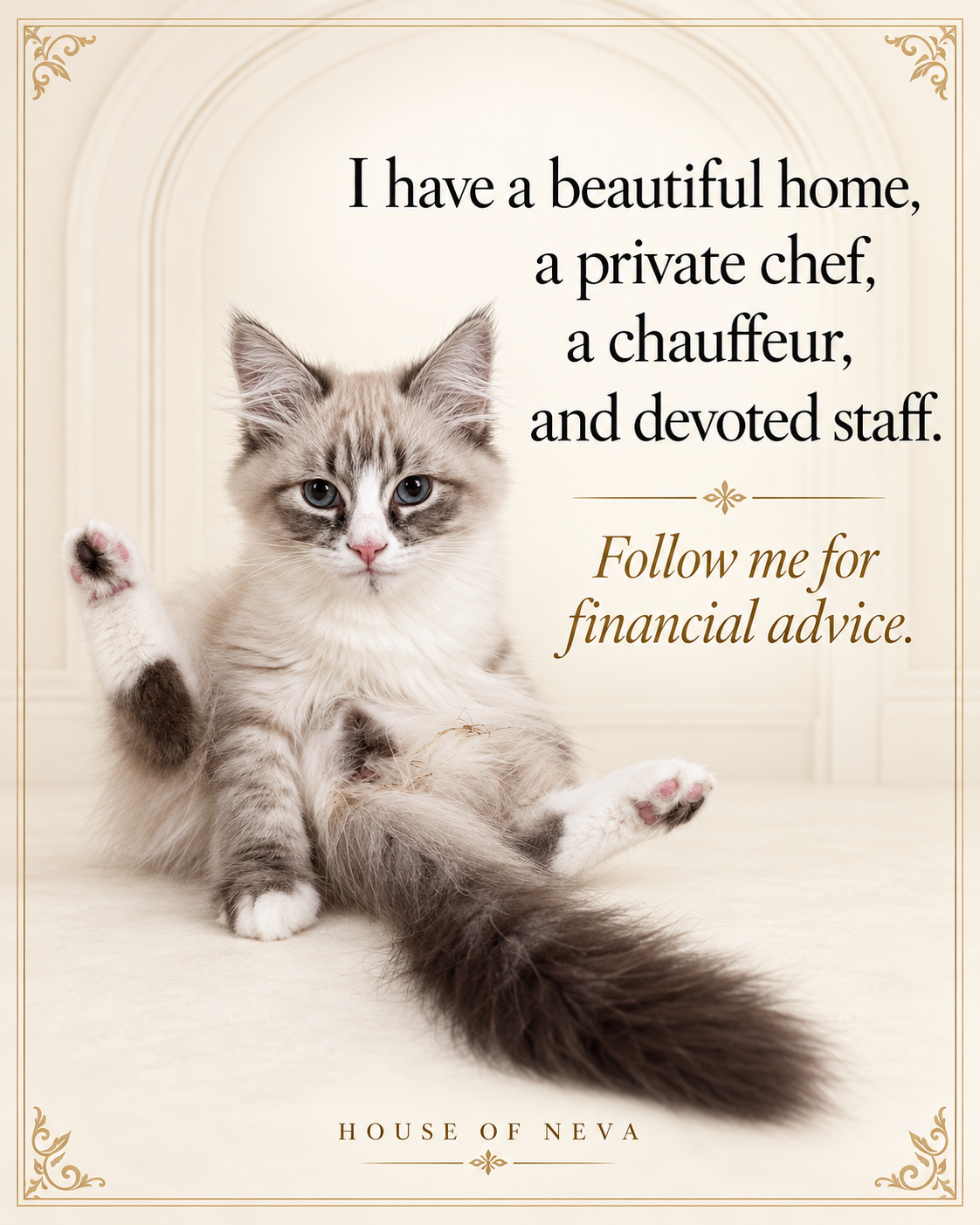 A pampered kitten from The House of Neva with the text: I have a beautiful home, a private chef, a chauffeur, and devoted staff. Follow me for financial advice.